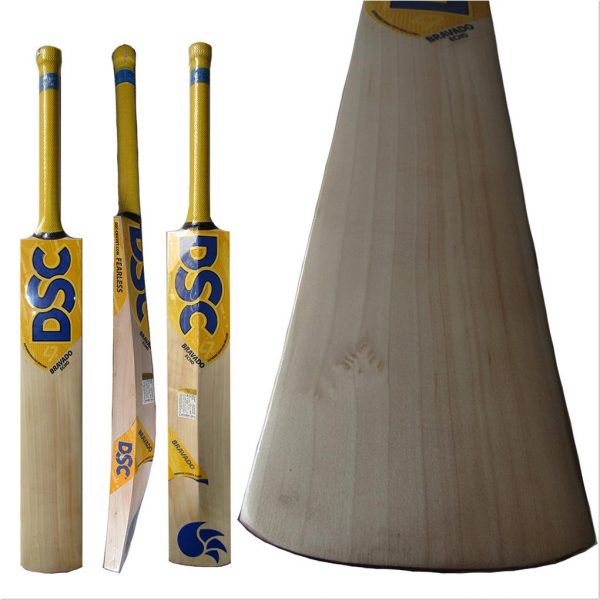 DSC BRAVADO ECHO CRICKET BAT